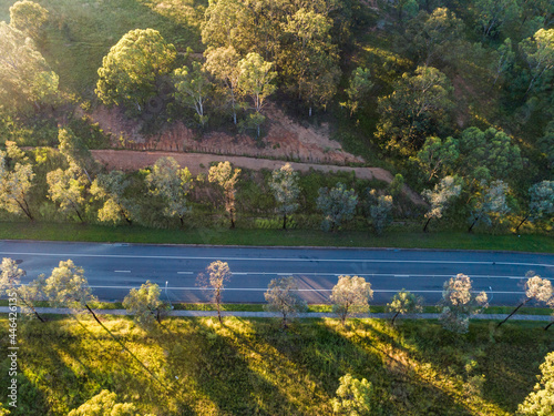 Gum trees planted along sealed road with footpath beside it photo