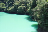 Tropical colored rivers and green forest
