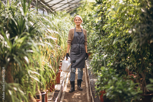 Woman gardner in a greenhouse