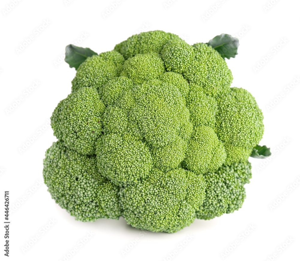 Broccoli isolated on white background. Raw green broccoli vegetable. Close up. Broccoli isolated on white background. Raw green broccoli vegetable. Close up.