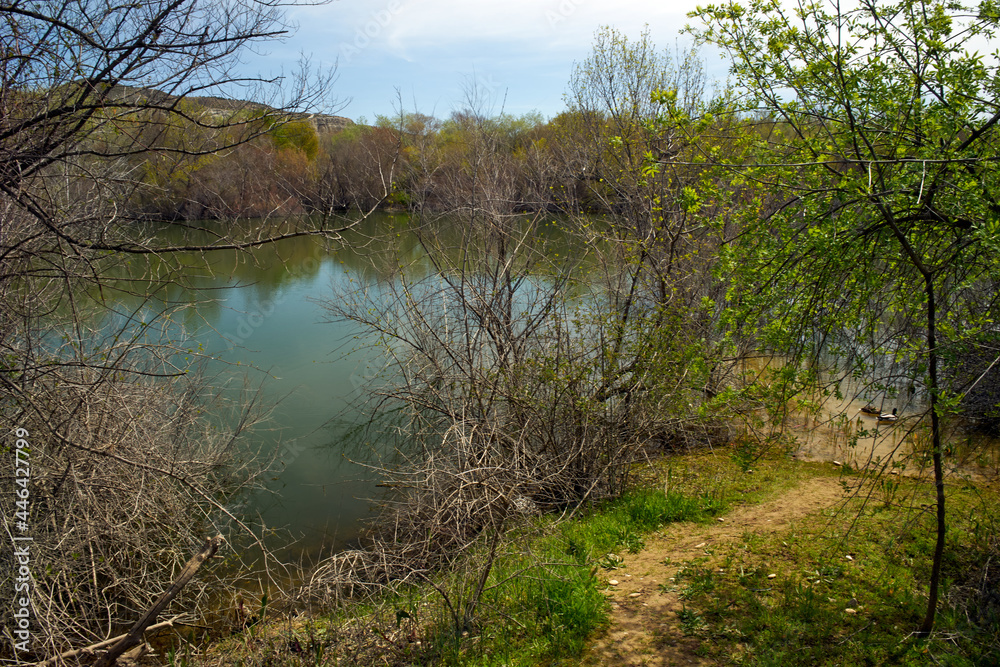 the river in the woods