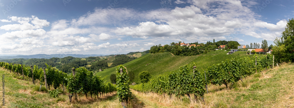 Obraz premium panoramic view summer in southern styria, an old wine growing country in austria named südsteirische weinstrasse. vineyard with windmill called klapotetz 