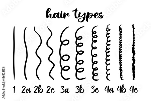 Infographic vector illustration with different hair types - straight, wavy, curly, coily. Curly girl method. Hair type guide with labels. Curl patterns classification photo