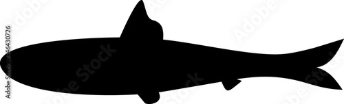 Black silhouette of cartoon sardine fish isolated on white background