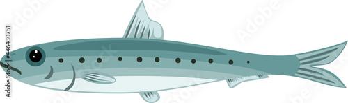 Cartoon sardine fish isolated on white background