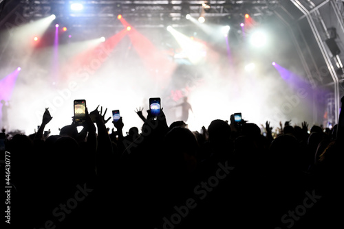 Silhouettes of the crowd in a concert