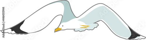 Cartoon seagull in flight with spreading wings isolated on white background