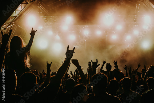 crowd of people dancing at concert