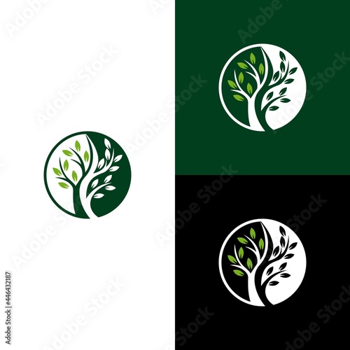 yin yang tree logo