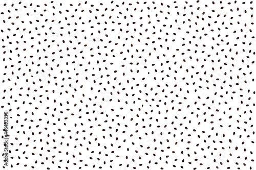 Watermelon seeds against white background