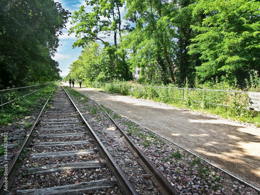 Old railway tracks on the walk of the Petite Ceinture, Paris, France