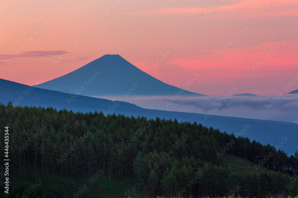 Fototapeta premium 夏の霧ヶ峰高原から夜明けの富士山