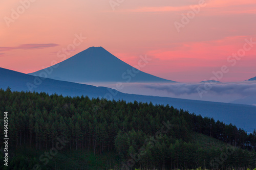 夏の霧ヶ峰高原から夜明けの富士山