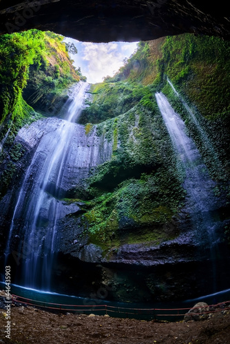Fototapeta Naklejka Na Ścianę i Meble -  Madakaripura Waterfall (Probolinggo) is the tallest waterfall in deep Forest in East Java, Indonesia.