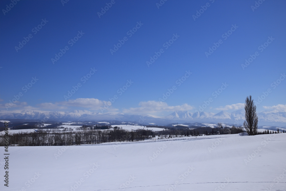 真っ白に雪化粧した美瑛の丘の向こうに見える一本のポプラの木と十勝岳連峰