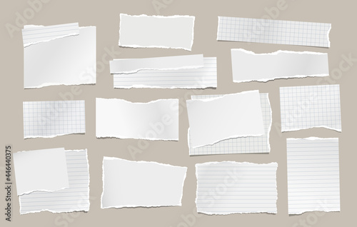 Set of torn white note, notebook paper stripes stuck on grey background for text, advertising. Vector illustration