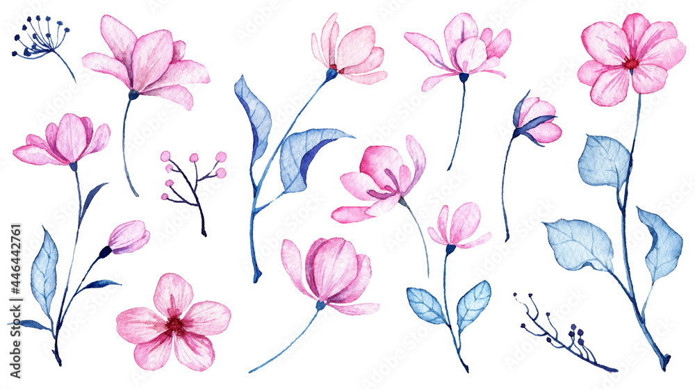 Set of watercolor soft pink and purple flowers isolated on white background. Hand painted aquarelle floral illustrations. Flowers blossom with blue leaves. Botanical paintings. Floral objects