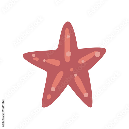 starfish sealife animal