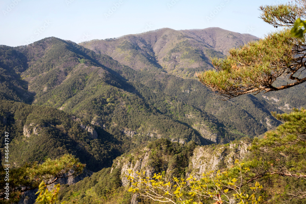 Obraz premium 주왕산