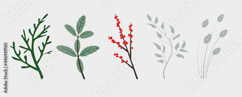 Vector branches of winter plants, conifers christmas tree, holly plant berries and ears. Perfect for christmas and new year designs.