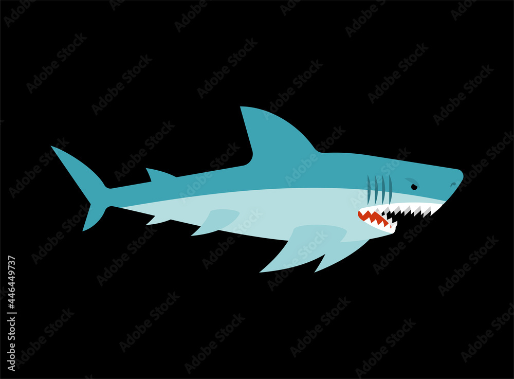 Shark isolated. Sea predator. Large predatory marine fish. vector illustration