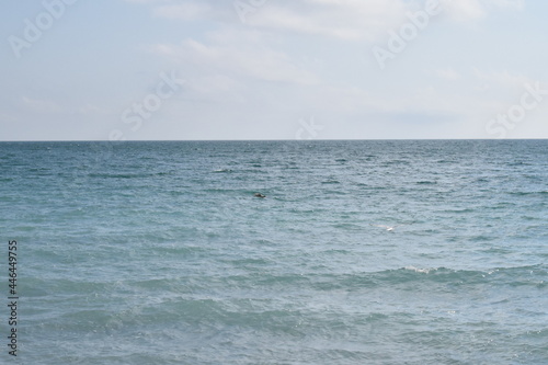Black Sea. Beautiful seascape. Horizon.