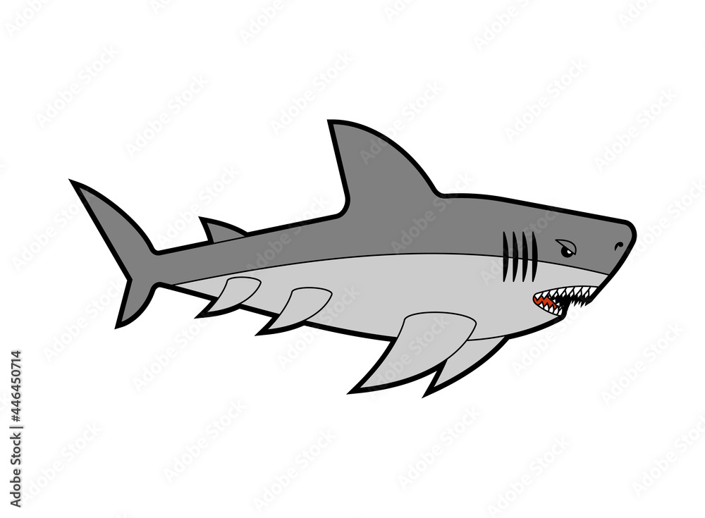 Shark isolated. Sea predator. Large predatory marine fish. vector illustration