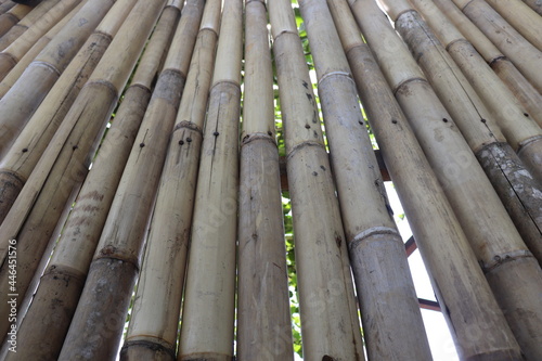wooden fence with bamboo
