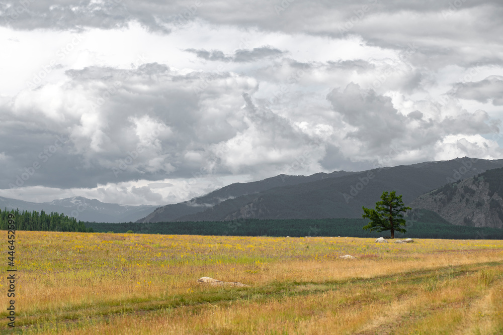 landscape in the mountains