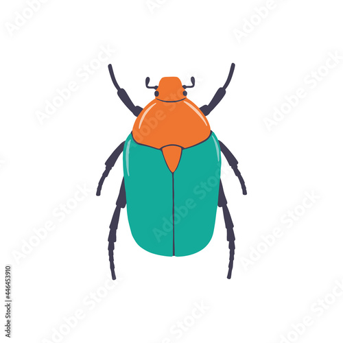 Vector color picture of bronzed beetle with bright green coloring on white background. Insects