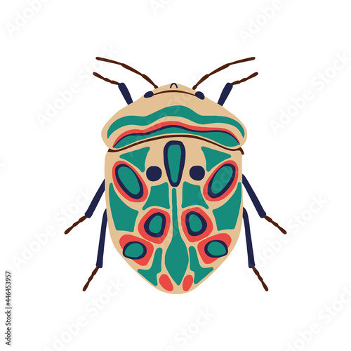 vector illustration, color picasso beetle, a beautiful beetle with an ornament