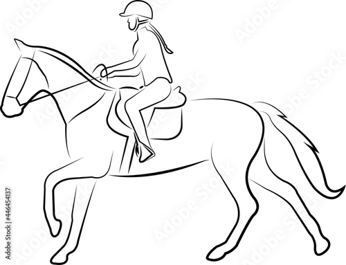 horse riding line art -  vector
