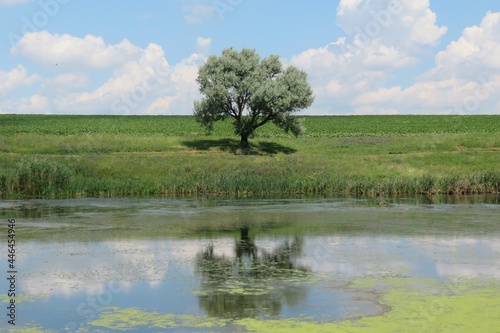 Beautiful landscape of european nature  river and marshes