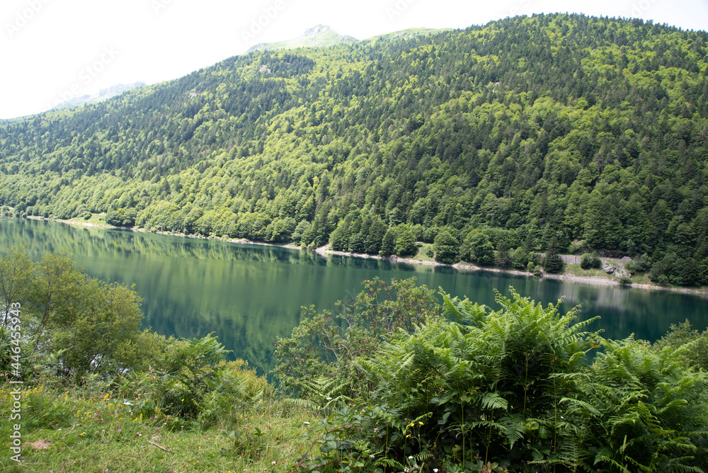 Meadows, rivers, forest, lakes and mountains in the Aragonese Pyrenees bordering the French border Meadows, rivers, forest, lakes and mountains in the Aragonese Pyrenees bordering the French border