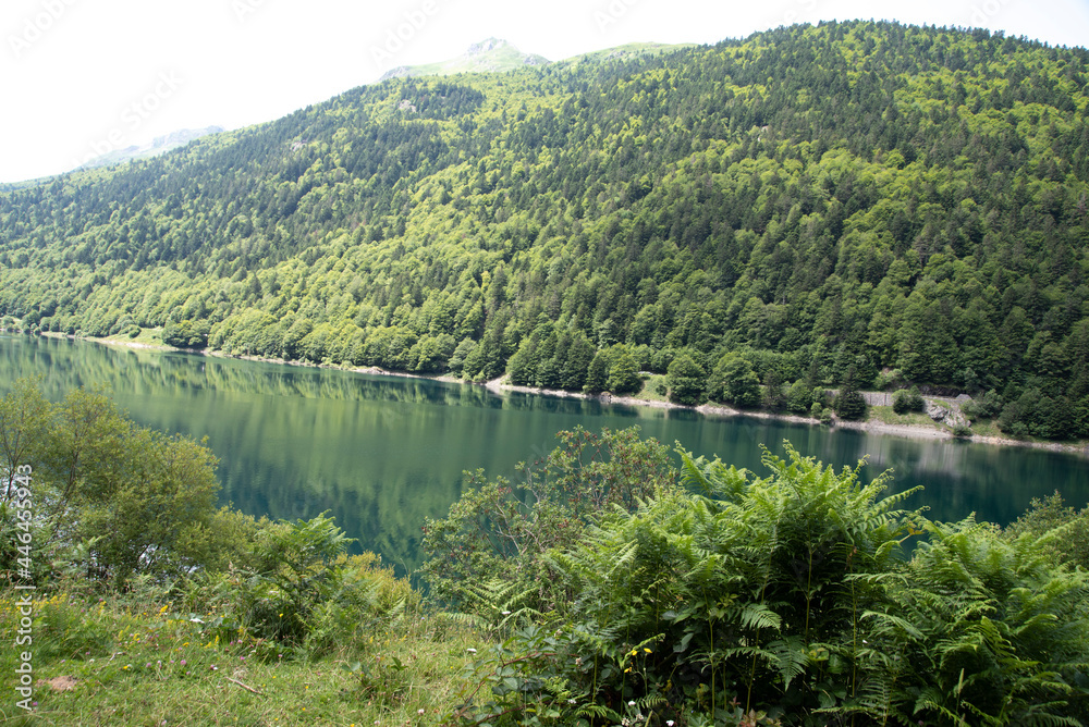 Meadows, rivers, forest, lakes and mountains in the Aragonese Pyrenees bordering the French border