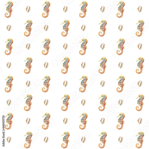 Collection of watercolor  seamless pattern - underwater world. Seashells and sea Horse, on a white background