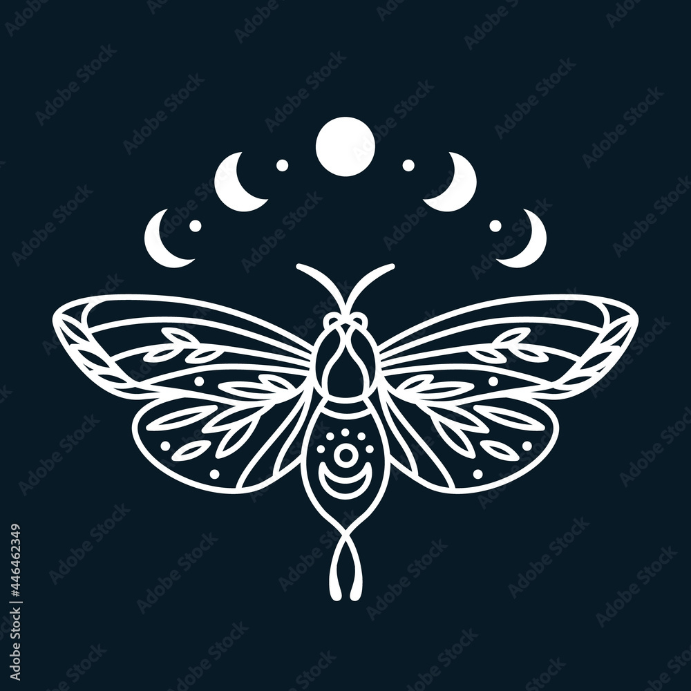 Magic butterfly with moon phases graphic print. Line art print with moth insect in boho style. Minimalistic black and white print with night bug and moons. Ideal for clothing, tattoo, card, poster Magic butterfly with moon phases graphic print. Line art print with moth insect in boho style. Minimalistic black and white print with night bug and moons. Ideal for clothing, tattoo, card, poster