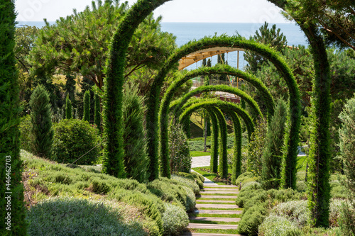 Canvastavla Amazing garden next  to hotel Mriya in  south coast of Crimean peninsula