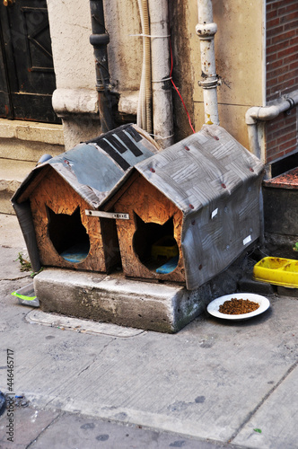House for cats on the street of Istanbul. Two houses for a cat and food for cats