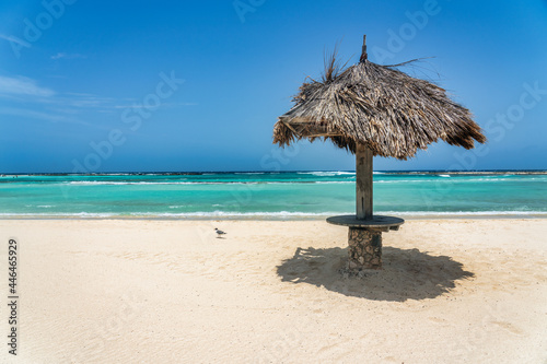 A palm umbrella sitting on top of a sandy beach next to the ocean