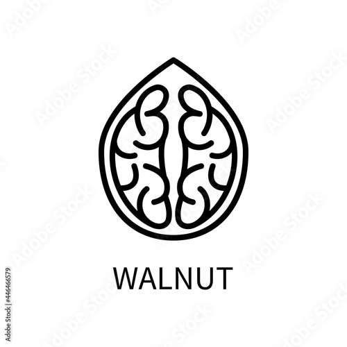 Icon Walnut Line Simple Style. Kernel Is A Nut Shell. Source of vegetable milk. Vector sign in a simple style isolated on a white background. Original size 64x64 pixels.