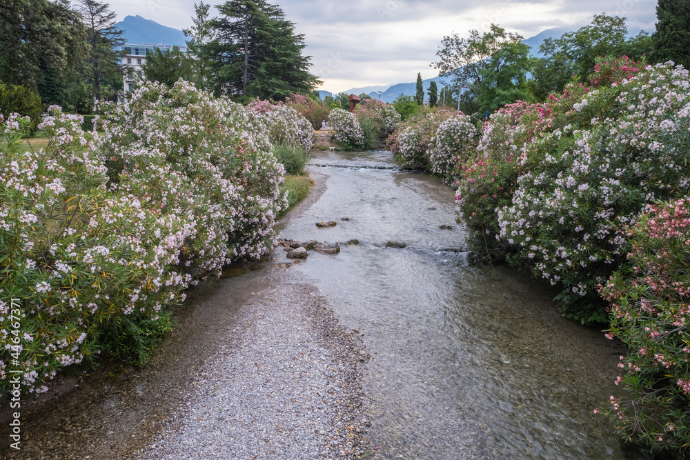 Blooming flowers along river in Riva del Garda Italy Blooming flowers along river in Riva del Garda Italy