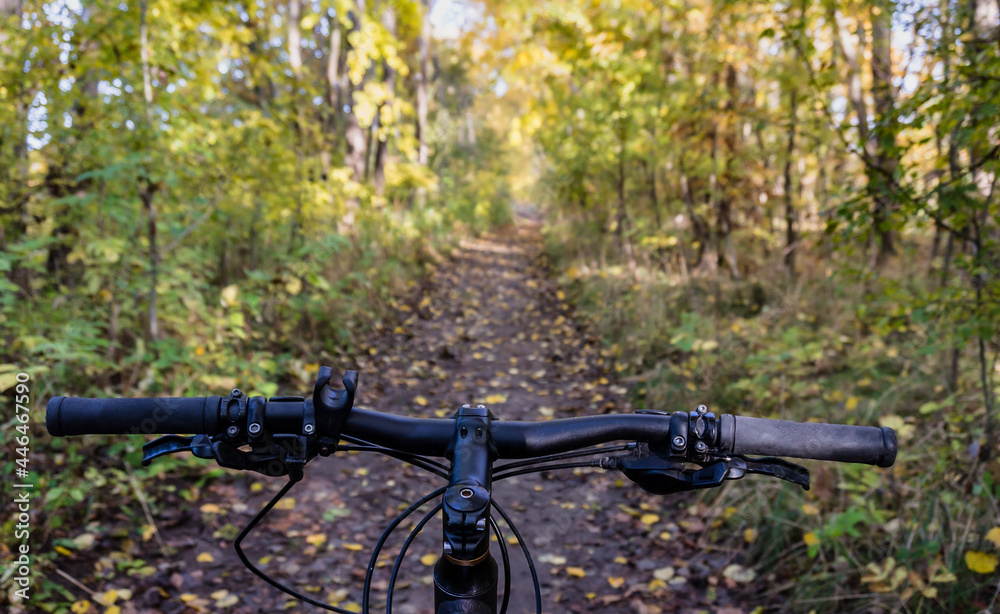 Relaxing and biking in the fall. Cycling through the autumn forest. Cyclists riding through the woods. Relaxing and biking in the fall. Cycling through the autumn forest. Cyclists riding through the woods.