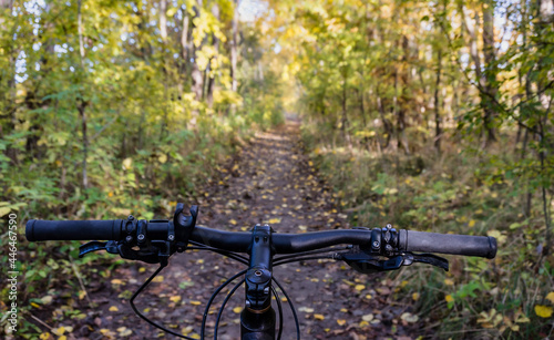 Relaxing and biking in the fall. Cycling through the autumn forest. Cyclists riding through the woods.