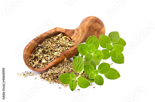 Oregano or marjoram leaves isolated on white background. Oregano fresh and dry.