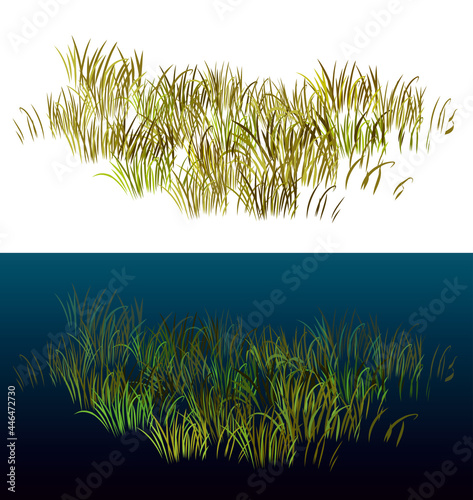 Grass isolated on white. Isometric view grass for landscapes. Realistic 3D grass vector illustration.