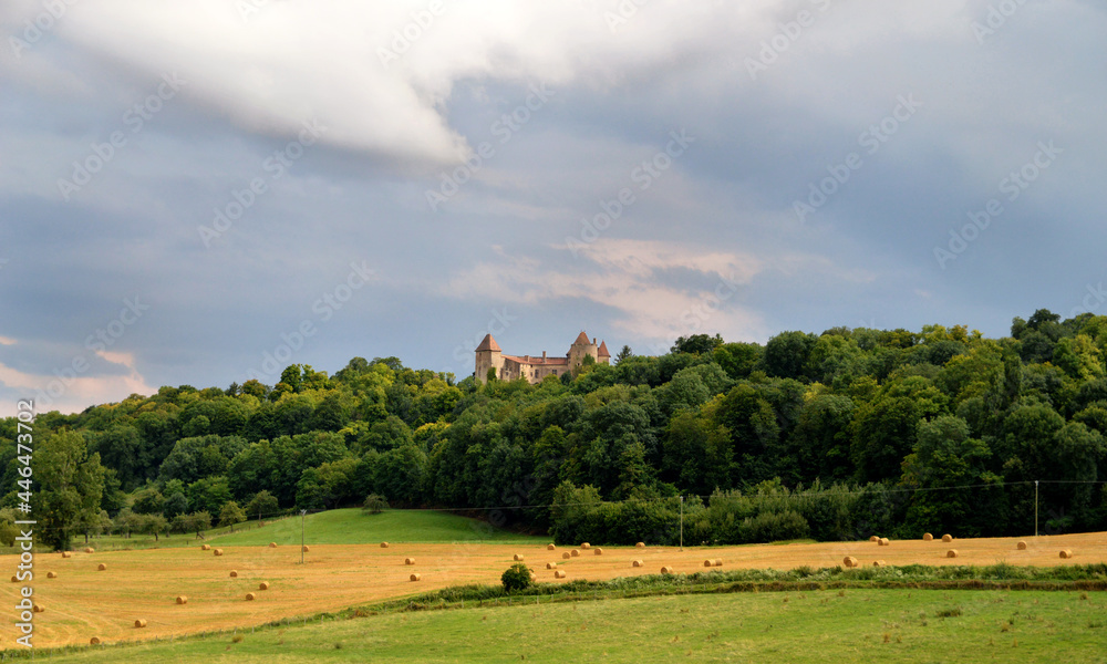 Beautiful countryside landscape under a stormy sky with a castle.