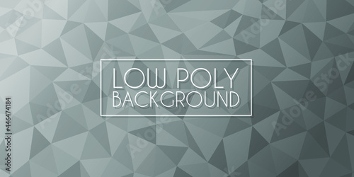 Grey Low Poly Abstract Geometric Dynamic Textured. Polygon Banner Background. Colorful Shape Composition.