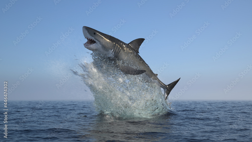 Great white shark jump out of water Stock Illustration Adobe Stock