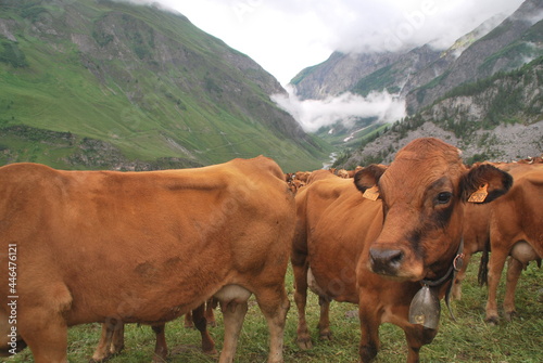 Tour du Mont Blanc (TMB) photo